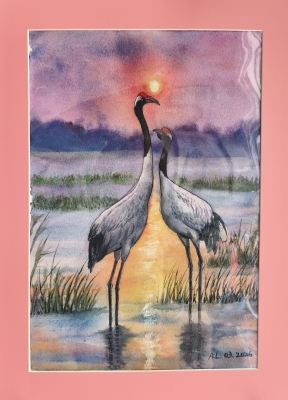 鶼鰈情深-12-x-16-鋼筆水彩